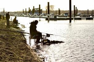 Witvissen - Los wedstrijdvissen