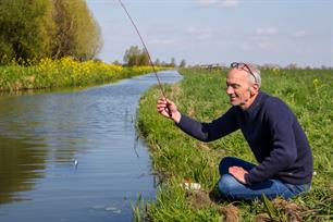 Witvissen: microscopisch op bittervoorn