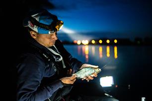 Witvissen: nachtvissen op witvis