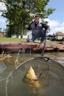 Witvissen: op jacht naar zeelt