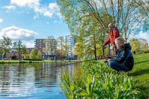 Witvissen: Oud en Nieuw