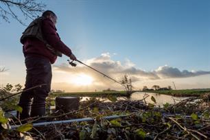 Witvissen: penvissen op zeelt 'koude stijl'