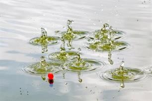 Witvissen - stokken met de pellet waggler