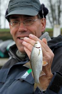 Witvissen - stoomcursus havenvissen
