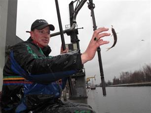 Witvissen - Vang meer, vis ook als het moeilijk is