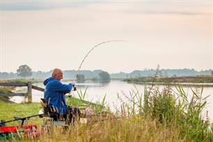 Witvissen: variatie aan de Vecht
