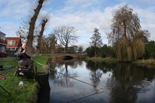 Witvissen - visles in de volkswijk