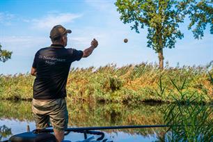 Witvissen: vissen zonder prijzen