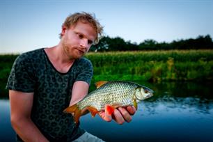 Witvissen: vlokken in het voorjaar
