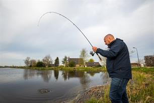 Witvissen: vlokvissen in breder perspectief