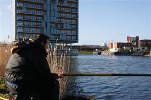 Witvissen - Voorzichtige brasems in Lelystad