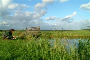 Witvissen - Zomerse zeelten op het bellenspoor