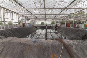 Zalm kweken op zeesla