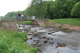 Zeeforel in het Lauwersmeer