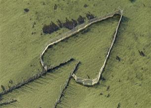 Zeeuwse ansjovisvissers vechten voor hun bestaan