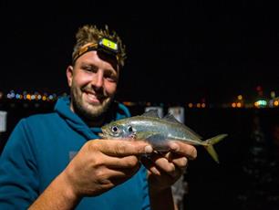 Zeevissen: Aji-sessie in de IJmond