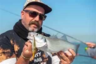 Zeevissen: charterboot-zeebaars-experiment