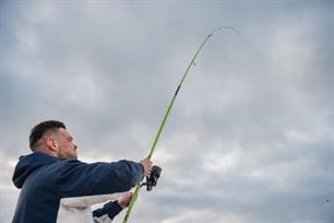 Zeevissen: de diepte in bij dishoek