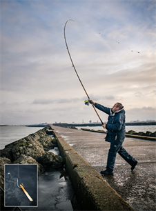 Zeevissen: de veelzijdige mesheft