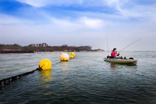 Zeevissen - een haring-uitje