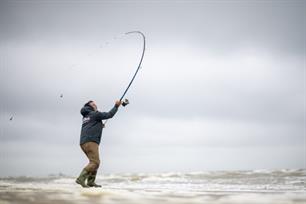 Zeevissen: evolutie van de strandhengel