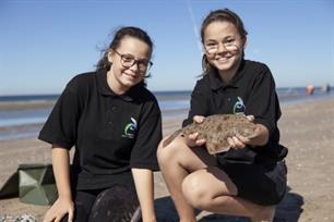 Zeevissen: familieband op het strand