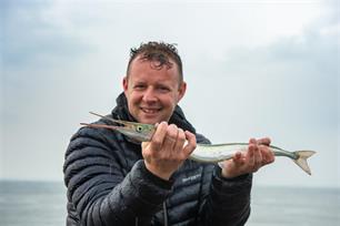 Zeevissen: geepvissen nieuwe stijl