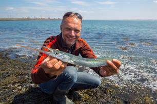 Zeevissen: gepen op gevoel