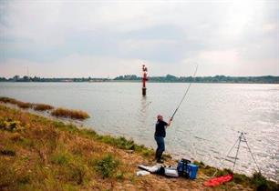 Zeevissen - gul zonder flauwekul