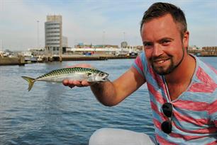 Zeevissen: havenmakrelen