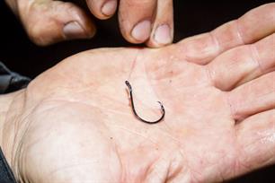 Zeevissen: In de haak