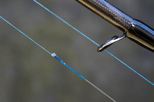 Zeevissen: in de knoop