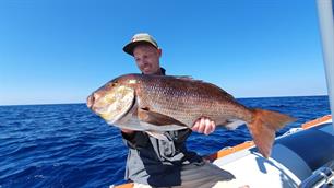 Zeevissen: NCRZ-recordlijst 50 jaar historie