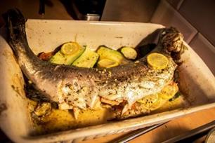 Zeevissen - Panvissers