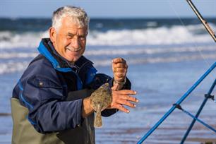 Zeevissen: schar van duizend zuchten