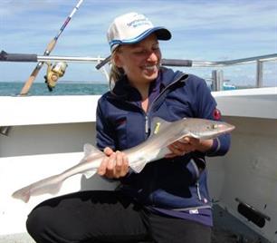 Zeevissen - Sharkatag 2014