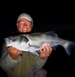 Zeevissen - slow motion in het donker