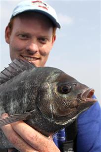 Zeevissen: Soorten in opkomst