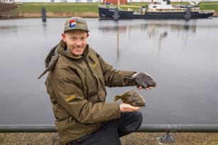 Zeevissen: soorten jagen