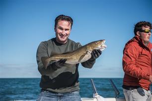 Zeevissen: subtiel wrakvissen