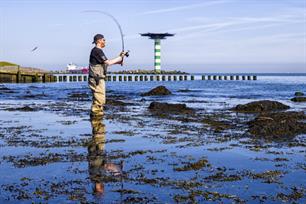 Zeevissen: van zoet naar zout