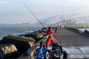 Zeevissen - wereldstek