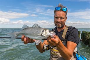 Zeevissen: Westerscheldebaarzen