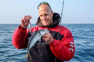 Zeevissen: wrakvissen light