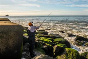 Zeevissen: zeebaars routekaart IJmuiden