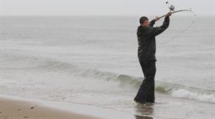 Zeevissen - Zeeuwse roem