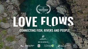 Zijlijnen VISionair no. 52