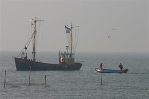 Zilveren beelden voor een ‘Blauw Hart’
