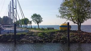 Zilverenstromen in het Haringvliet (download)