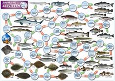 Zoekkaart Zeevissen